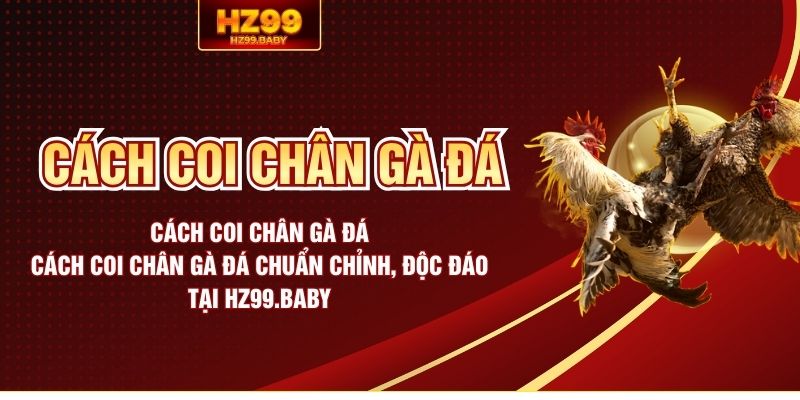 Cách coi chân gà đá